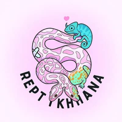 Repetikhana